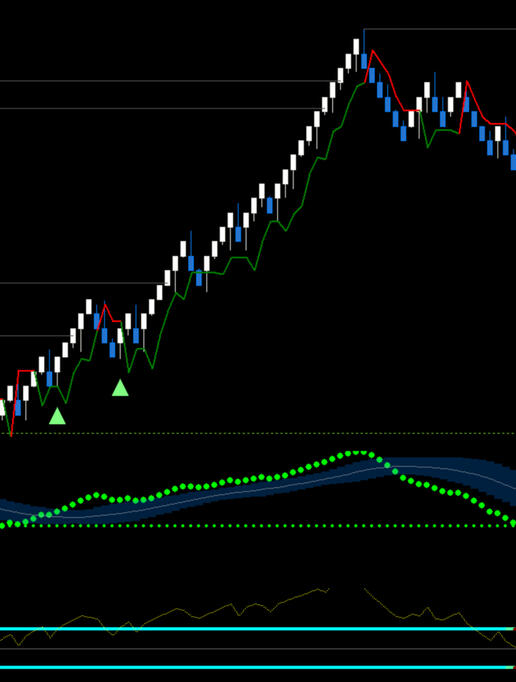 Renko System Renko System